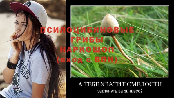 мяу мяу мука Баксан