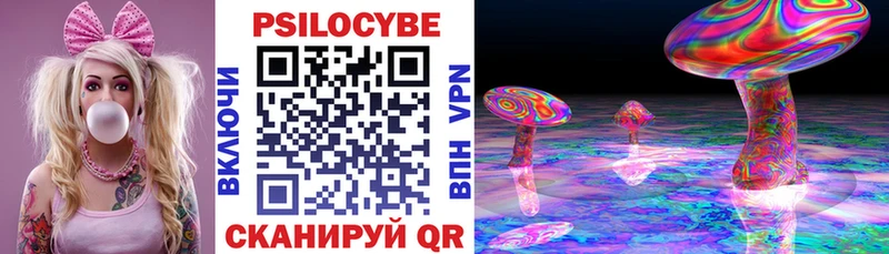 мега вход  Геленджик  Галлюциногенные грибы Psilocybe 